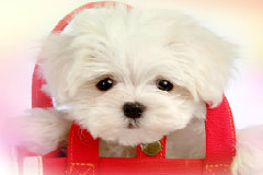 阿桂动画-七十年代生人（上）