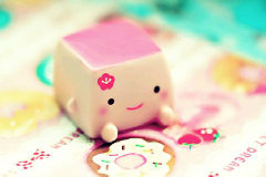 爱情太短，遗忘太长 — 聂鲁达